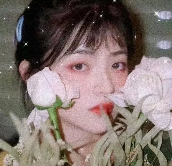 小岛奇谭
